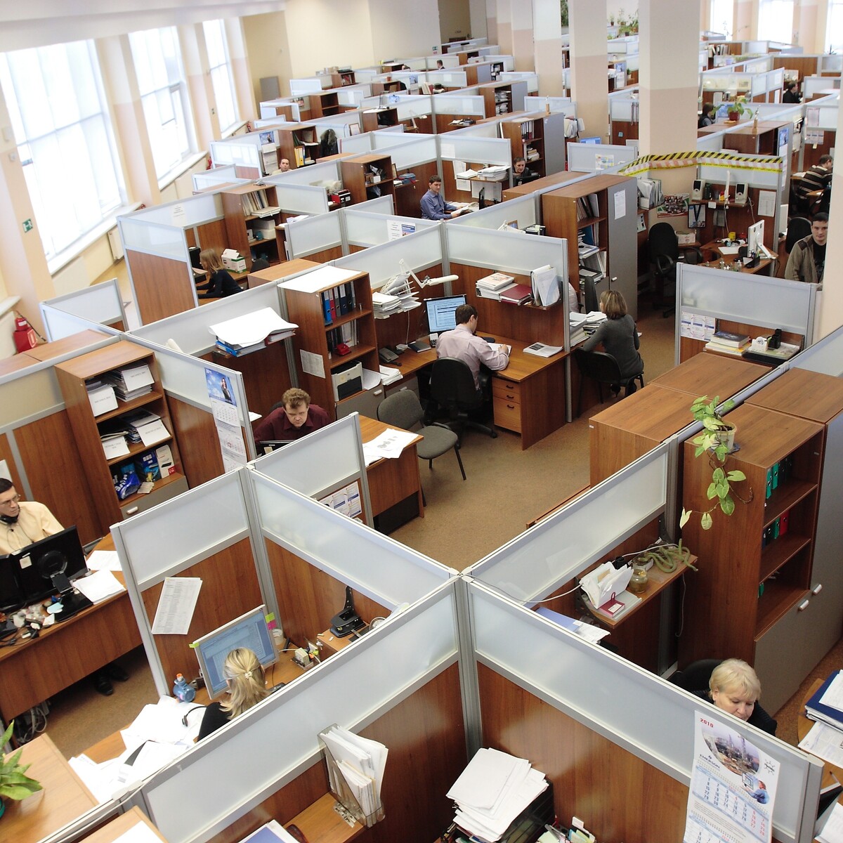 Assetti economici, produttivi e del lavoro. Sviluppo di soft skills